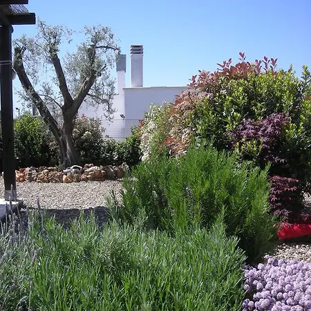 Tatil Evi Trullo Mimosa Martina Franca